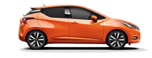 Modelmicra1